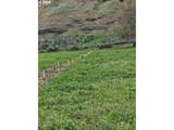 54884 Day Rd - Photo 9