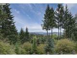 32320 Ammeter Rd - Photo 36