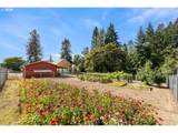 102 164TH St - Photo 23