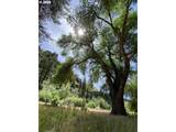 74170 Imnaha Highway - Photo 1