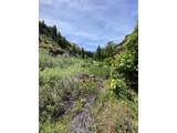 74170 Imnaha Highway - Photo 2
