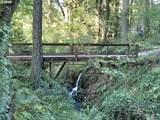 15555 Clackamas River Dr - Photo 46