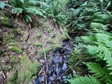 0 Salmonberry Rd - Photo 17