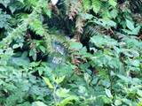 0 Salmonberry Rd - Photo 19