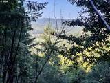 0 Salmonberry Rd - Photo 23