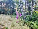 0 Salmonberry Rd - Photo 31