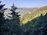 0 Salmonberry Rd - Photo 4