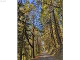 23999 Guenther Rd - Photo 11