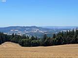 23999 Guenther Rd - Photo 2