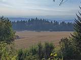 23999 Guenther Rd - Photo 6