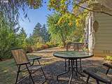 23999 Guenther Rd - Photo 8