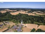33306 Freds Row Ln - Photo 39