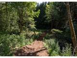 Armstrong Rd - Photo 12