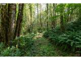  Armstrong Rd - Photo 14