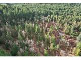 0 Belle Lake Rd - Photo 10