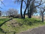  Wamic Market Rd - Photo 6