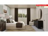 16833 Lorikeet Ln - Photo 35