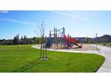 16833 Lorikeet Ln - Photo 44