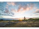 16833 Lorikeet Ln - Photo 46