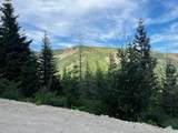  Snag Mountain Rd - Photo 6