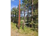 983 Snowden Rd - Photo 16