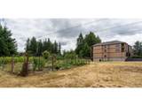 20512 Roy Rogers Rd - Photo 22