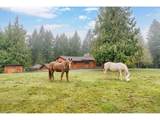 51720 Hayward Rd - Photo 2
