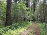 3678 Golf Course Rd - Photo 13