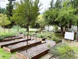 71755 London Weyerhaeuser Rd - Photo 42