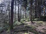  Greenleaf Road - Photo 7