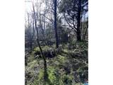  Greenleaf Road - Photo 8