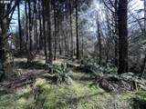  Greenleaf Road - Photo 9