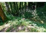  Condor Ave - Photo 11