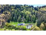 17150 Ten Eyck Rd - Photo 43