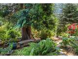 260 Avondale Way - Photo 36