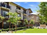 12023 High Creek Rd - Photo 26