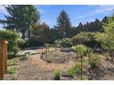 21932 Ash St - Photo 35