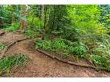 7325 Barbara Welch Rd - Photo 35
