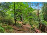 7325 Barbara Welch Rd - Photo 36