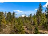  Lonesome Pines Dr - Photo 1