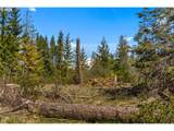  Lonesome Pines Dr - Photo 11