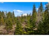  Lonesome Pines Dr - Photo 12
