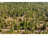  Lonesome Pines Dr - Photo 13