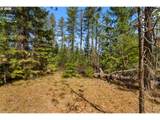  Lonesome Pines Dr - Photo 15