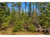  Lonesome Pines Dr - Photo 17