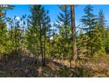  Lonesome Pines Dr - Photo 18