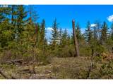  Lonesome Pines Dr - Photo 19