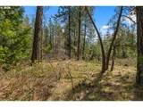  Lonesome Pines Dr - Photo 21