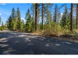  Lonesome Pines Dr - Photo 4