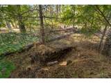  Lonesome Pines Dr - Photo 5
